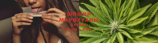 не бодяженный Инта