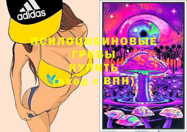 не бодяженный Инта