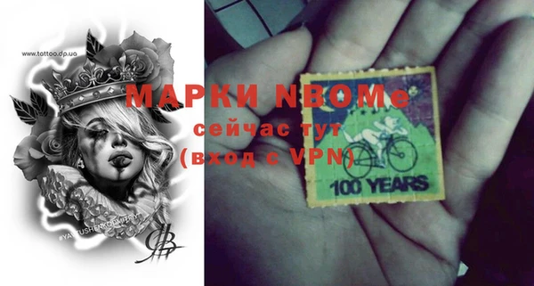 спайс Каменка